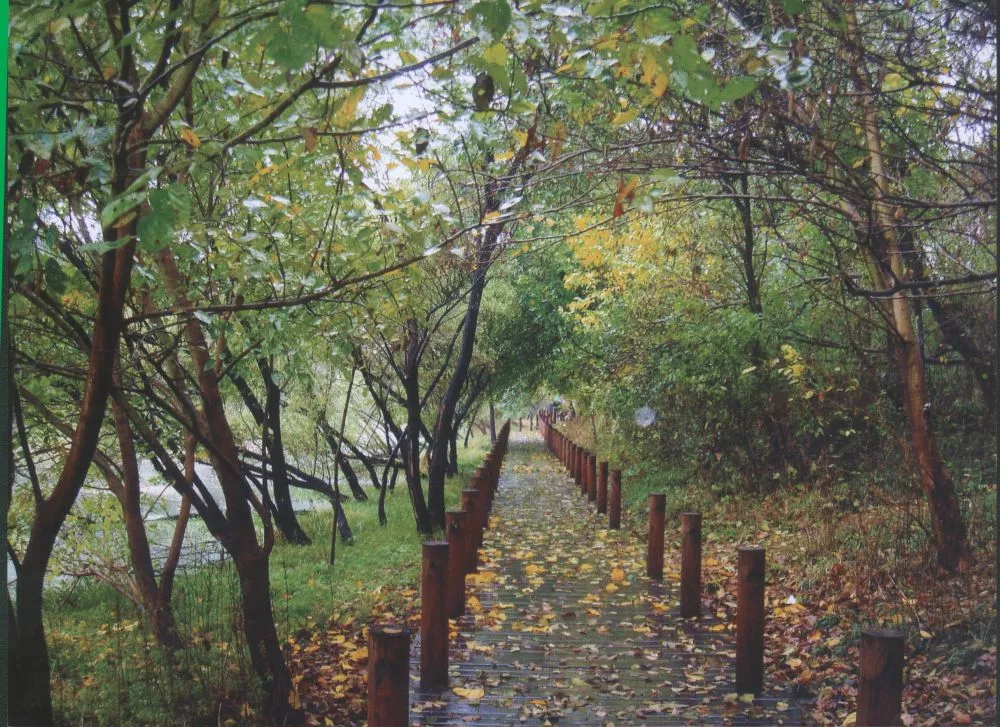 凤凰岛风光--秋深意浓（作者：王永梅）.jpg