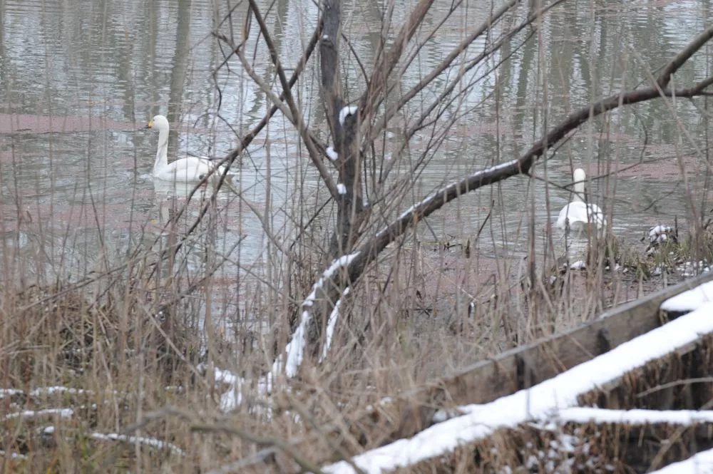 DSC_5032.JPG