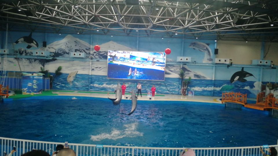 src=http _youimg1.c-ctrip.com_target_100t0s000000hmu32F917.jpg&refer=http _youimg1.c-ctrip.com&app=2002&size=f9999,10000&q=a80&n=0&g=0n&fmt=jpeg.jpg