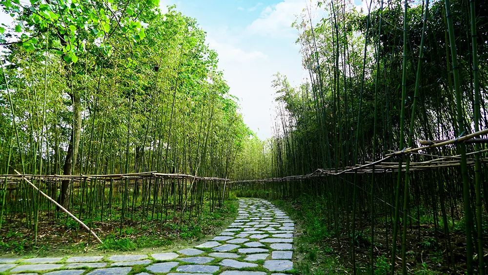 Bamboo lake month