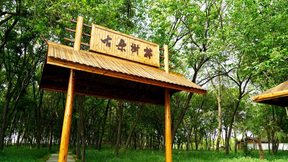 GuSang woods