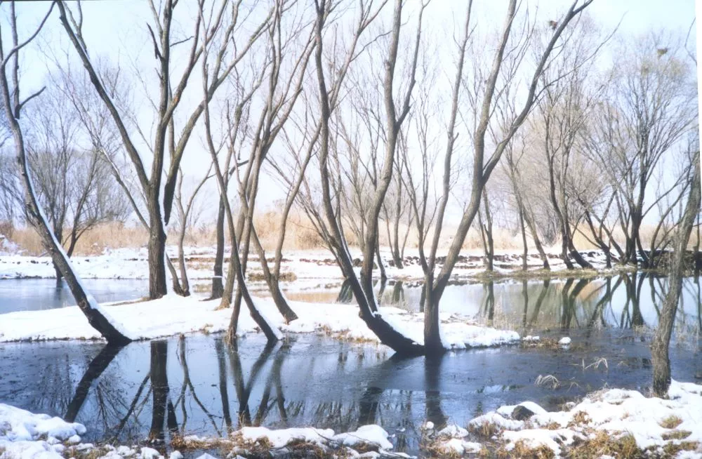 겨울