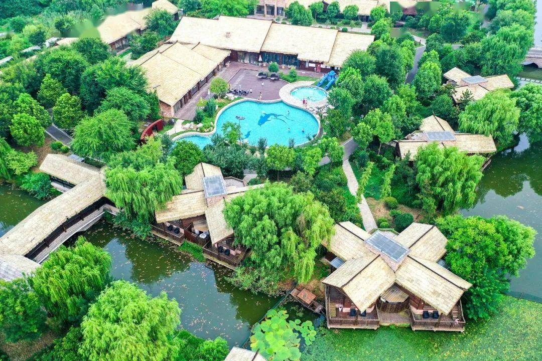 src=http _p8.itc.cn_q_70_images03_20200714_6d36b44ed64b4023bed955a941937199.jpeg&refer=http _p8.itc.cn&app=2002&size=f9999,10000&q=a80&n=0&g=0n&fmt=jpeg.jpg