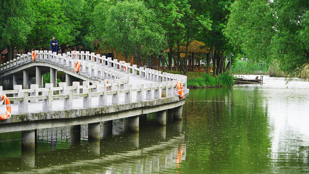 金湾桥.JPG