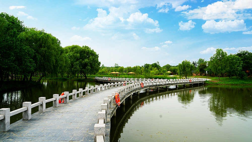 金湾桥3.JPG